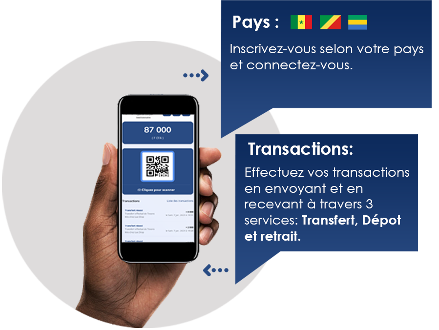 About WebVista